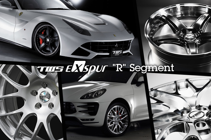 TWS EXspur R Segment