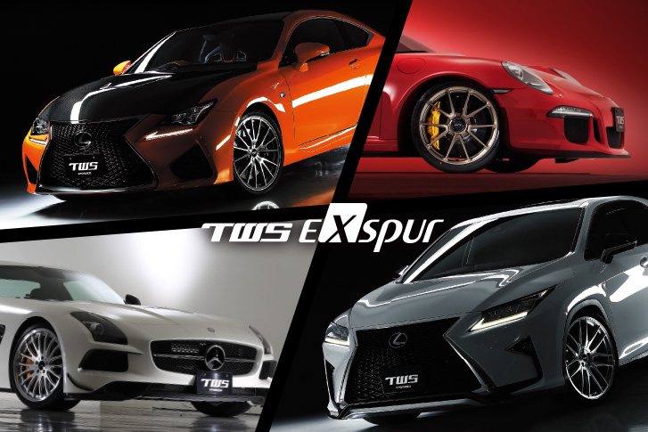 TWS EXspur EX Segment